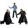 Harry Potter Deathly Hallows Series 1 Action Figure Case